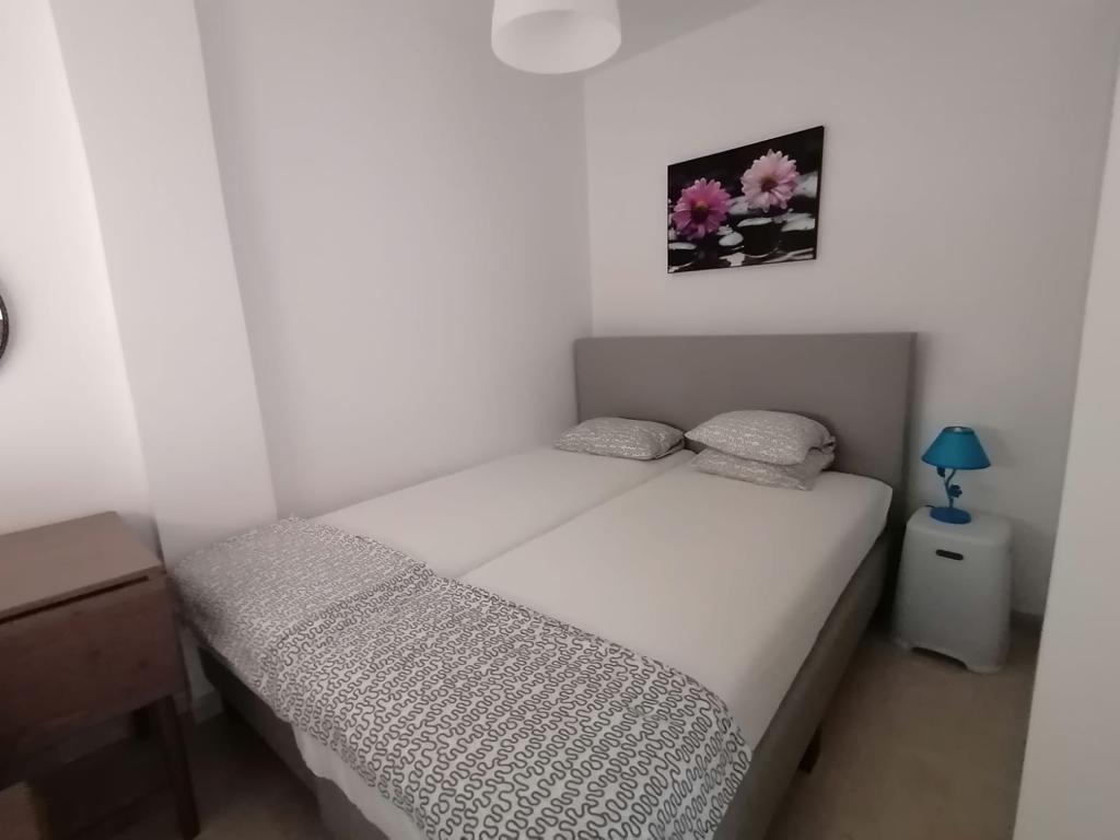 PHOTO-2023-07-03-22-56-42 4